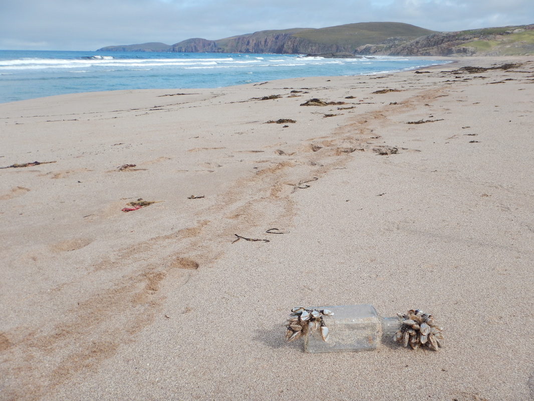 Scottish sea stacks - Jack Daniels bottle on Sandwood bay